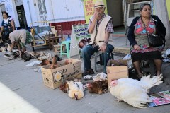 Mercado en Tlacolula, Oaxaca