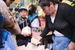 Mercado José Castillo Tielemans, San Cristóbal de las Casas, Chiapas