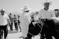 Mercado ganadero, Cuilapan, Oaxaca